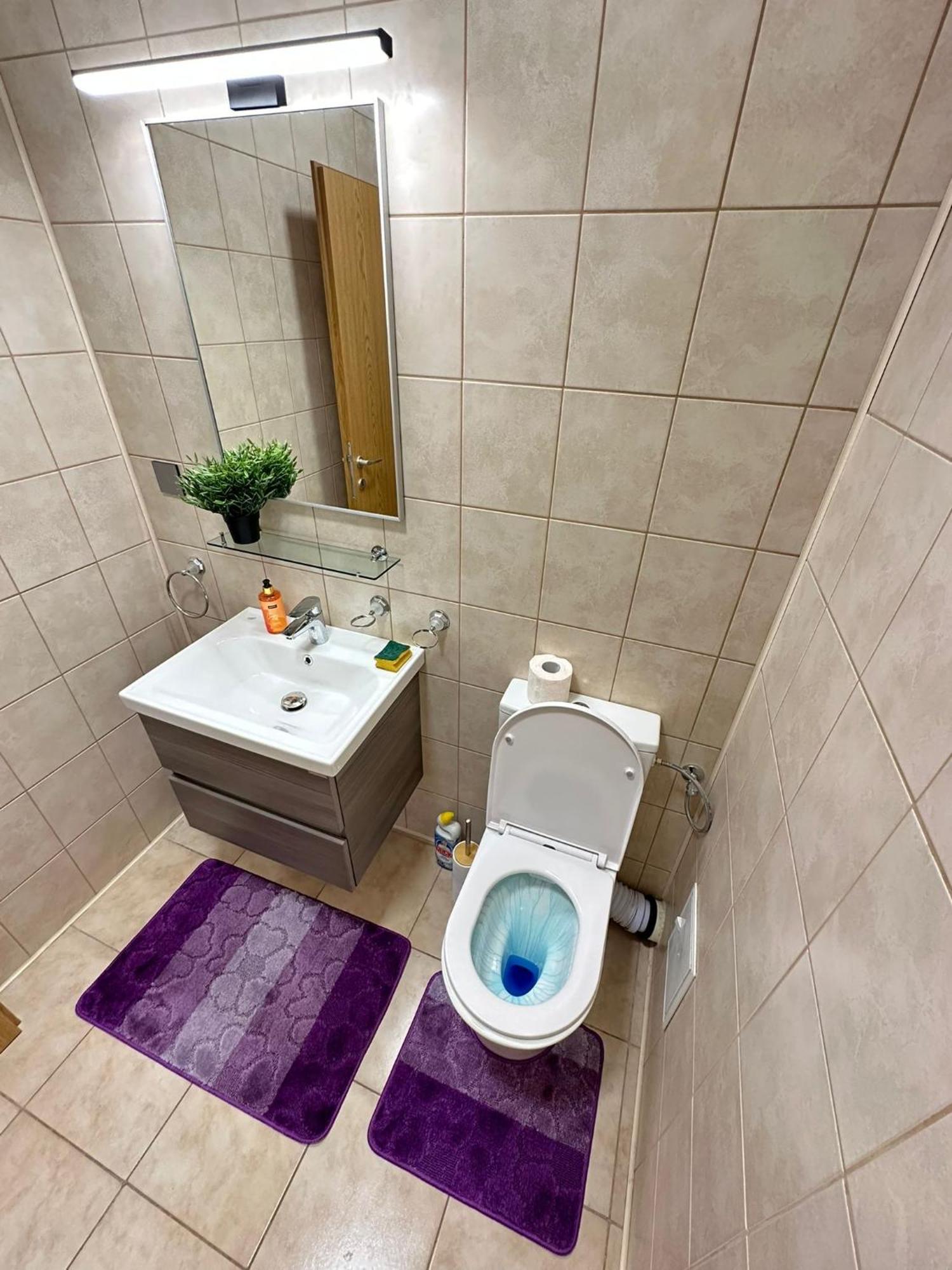 Centru Unirii Luxury Vip Palmier Apartament 2 Camere Cu Terasa Exterioara Amenajata ! Parcare Subterana Privata Climatizata Si Supravegheata Video Dar Doar Cu Rezervare In Limita Locurilor Disponibile !Proprietate In Regim Hoteliep - Nu Are Bucatarie بوخارست المظهر الخارجي الصورة
