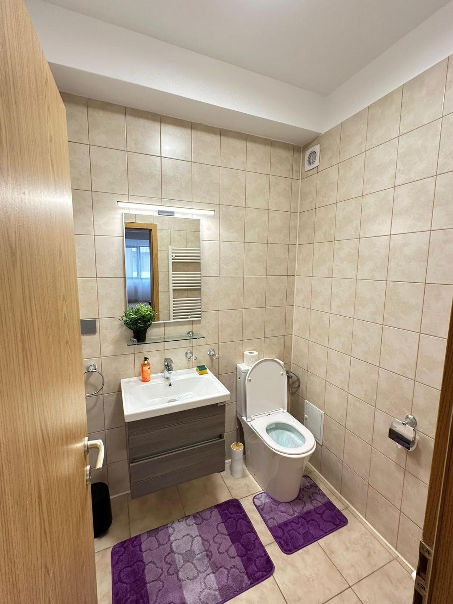 Centru Unirii Luxury Vip Palmier Apartament 2 Camere Cu Terasa Exterioara Amenajata ! Parcare Subterana Privata Climatizata Si Supravegheata Video Dar Doar Cu Rezervare In Limita Locurilor Disponibile !Proprietate In Regim Hoteliep - Nu Are Bucatarie بوخارست المظهر الخارجي الصورة